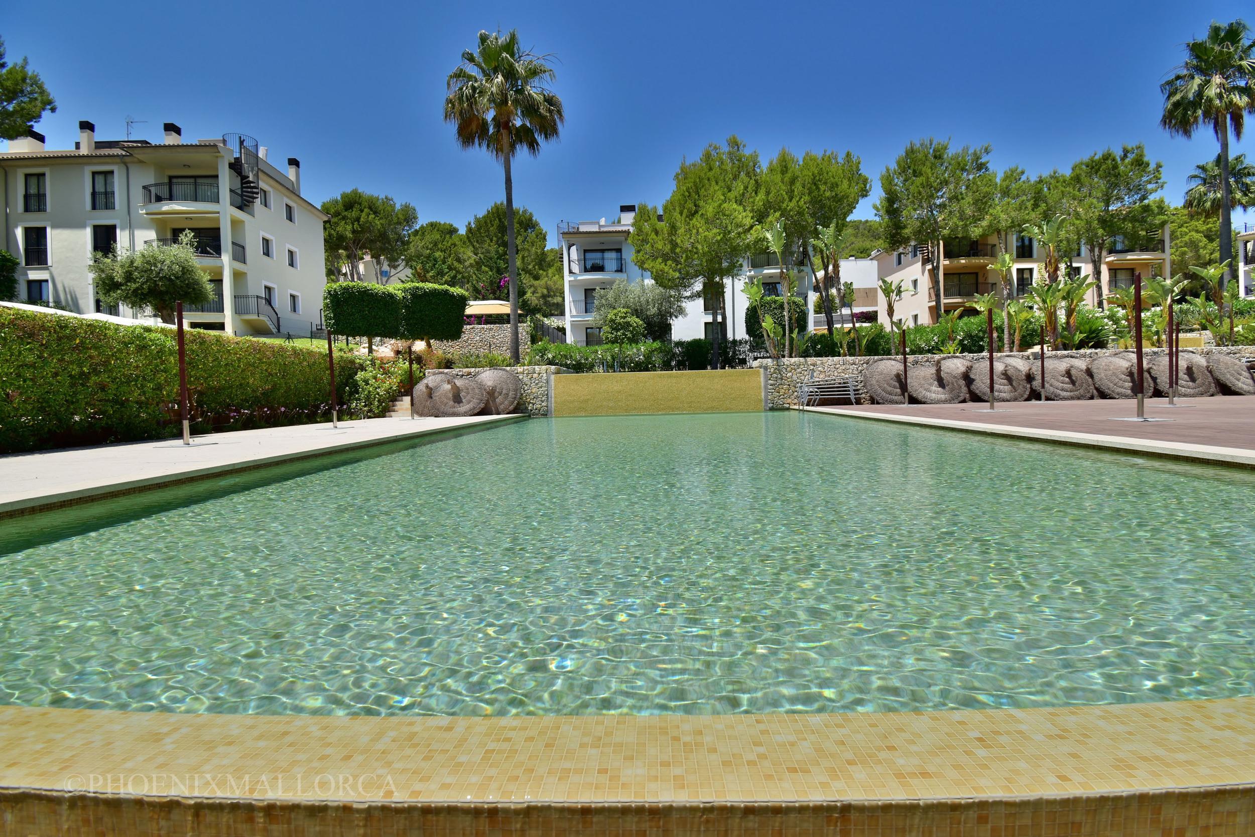 Phoenix Mallorca: Phoenix Mallorca